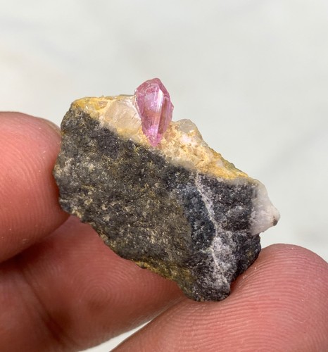 Amazing pink imperial - ,