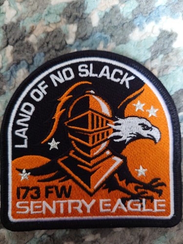 Usaf sentry eagle patch - sentry, patch.