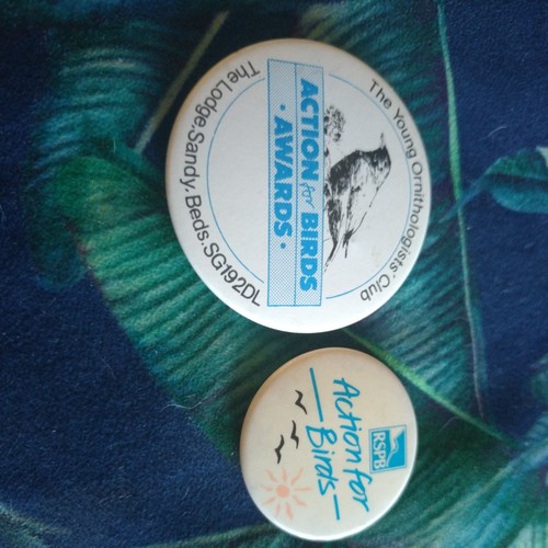 Collectible pin badge rspb - collectible,