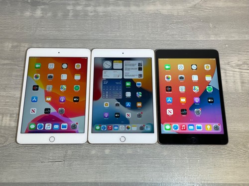 Apple ipad mini - apple,
