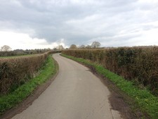 Photo 12x8 Forsham Lane, near