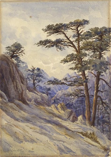 Arthur herbert hussey - herbert,