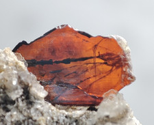  Brookite Loose Crystals, Has