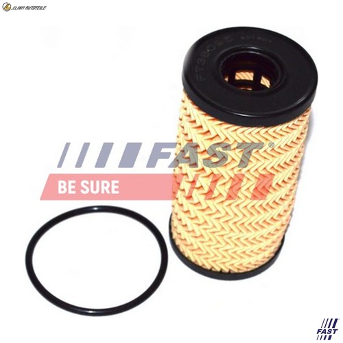 Oil filter ft38095 - filter, renault
