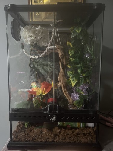 Reptile vivarium heat - reptile, vivarium,