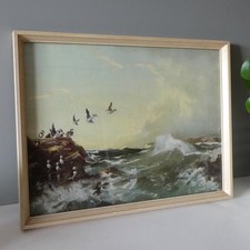 Vernon Ward Print Puffins Sea