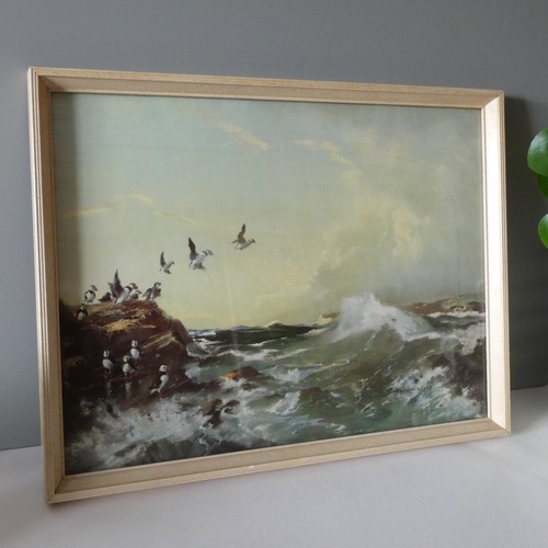Vernon ward print puffins sea - vernon,