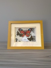 Framed Taxidermy Peacock