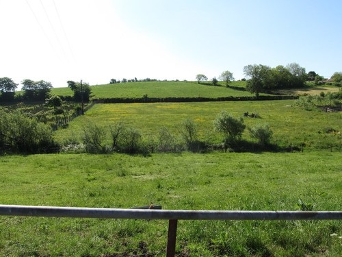 Photo 6x4 drumlin pasture land - photo,