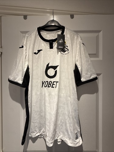 Swansea city 2019 - swansea,