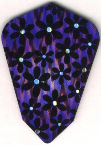 Daisies fantail dart flights - dart,