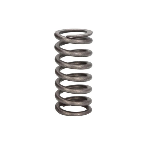 Valve spring fits rvi kerax - valve, fits: