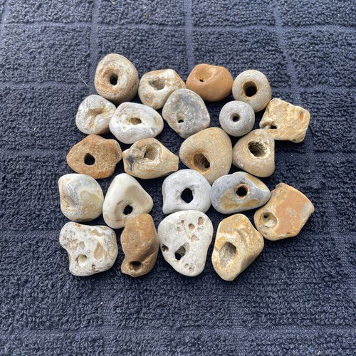 Twenty natural hag stones - twenty,