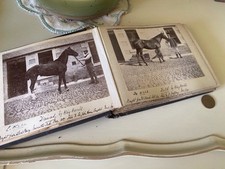 Victorian Photograph Album -