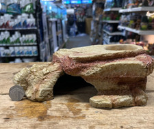 GECKO REPTILE LIZARD LIGHT