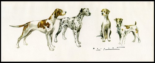 Pointer dalmatian wire fox - pointer,