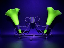 Victorian John Walsh Primrose