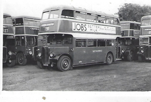 Bus photo had745 wilts - bus,