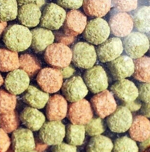 Rainbow pond pellets 350g 1kg - pellets,