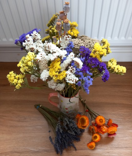 Statice dried flowers - statice,