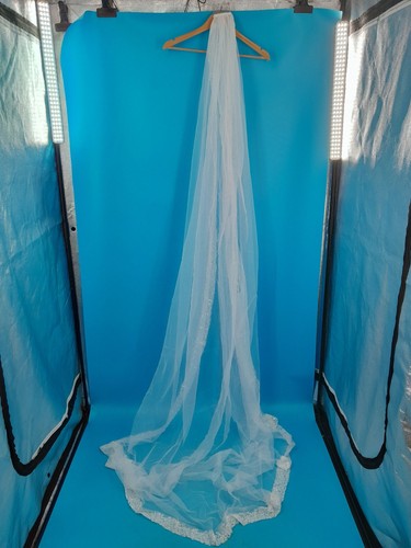 White cathedral bridal - white, veil