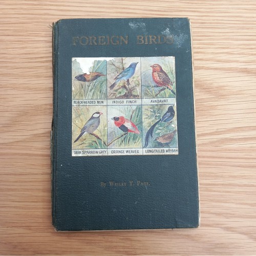 Rare vintage book wesley - vintage, t