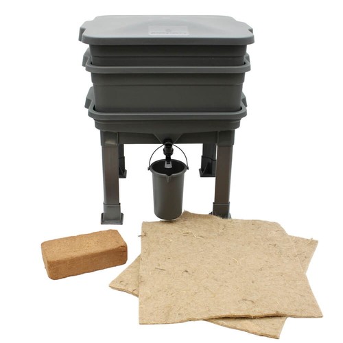 Worm farm compost bin food - worm,
