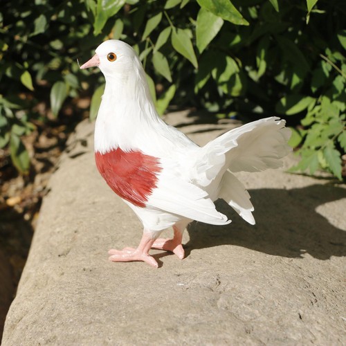 Realistic garden pigeon statue - garden,