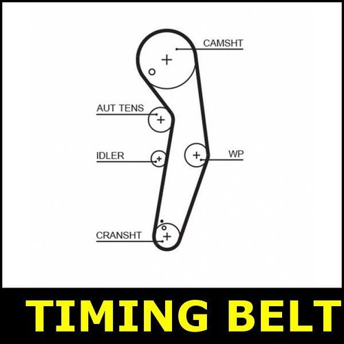 Timing belt cam fits seat - cam,