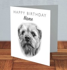 Border Terrier Dog