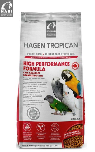 Hagen tropican hari high - tropican,
