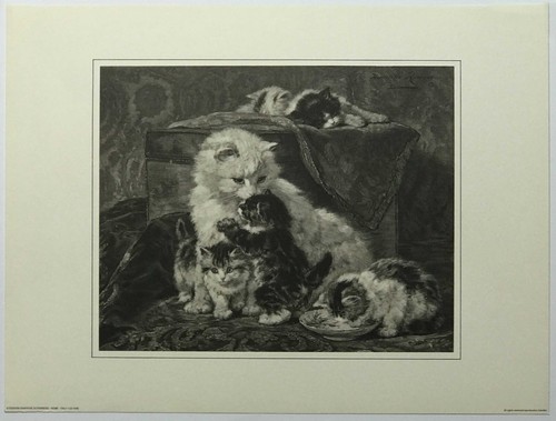Cat and her - ,