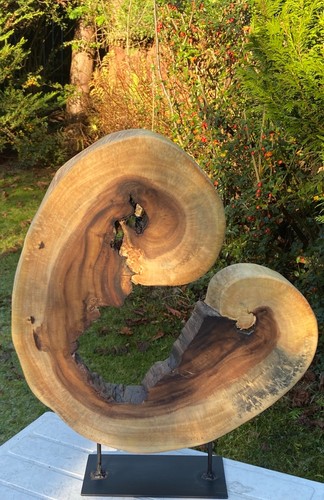 Two tone wooden sculpture - wooden,