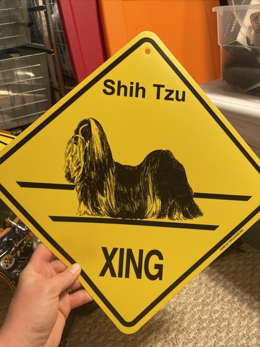 New shih tzu - tzu, crossing