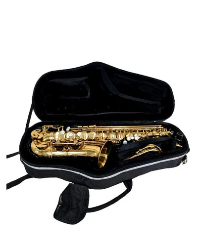 Alto saxophone trevor - sr, by
