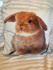 Super soft plush Rabbit pillow