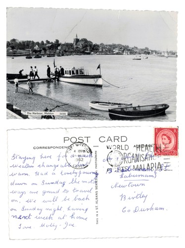 Vintage postcard the - postcard,