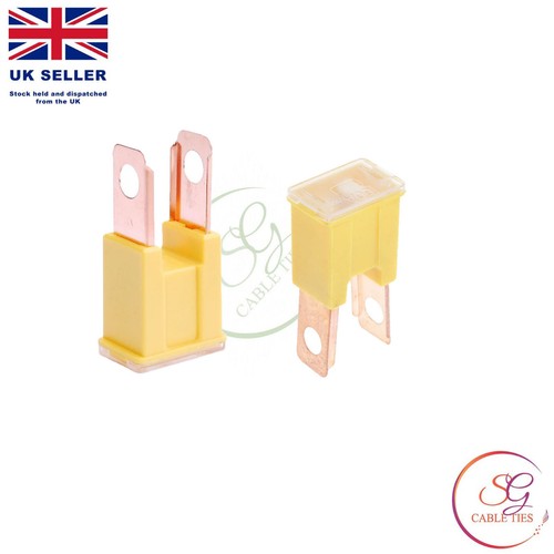Amp yellow japanese pal - 5x,