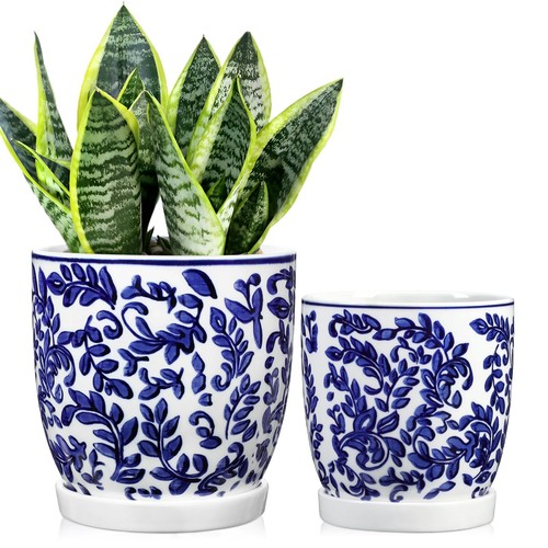 Set blue white ceramic - set,