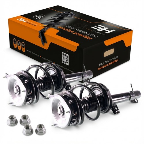 Gas complete struts - complete,