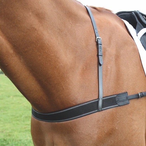Shires elastic breastgirth - elastic,