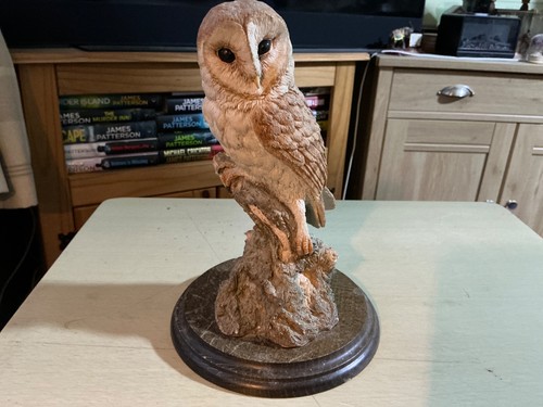 Country artist barn owl - country,