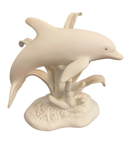 Lenox bottlenose dolphin - lenox, sea