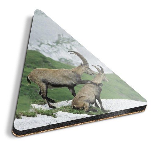 Triangle coaster alpine - coaster,