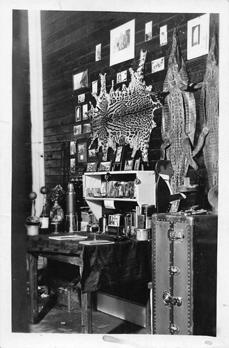 Interior view den animal - view,