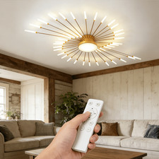 Firework LED Ceiling Light