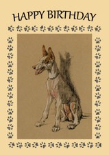 IBIZAN HOUND DOG BIRTHDAY