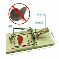 Traditional Mouse Traps Mice
