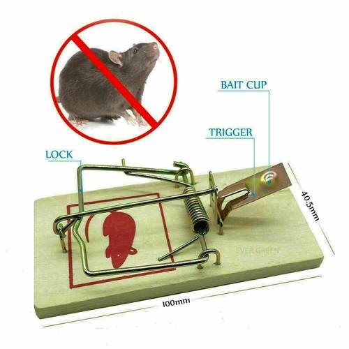 Traditional mouse traps mice - mouse,
