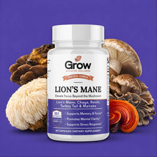 Lions Mane Mushroom Supplement